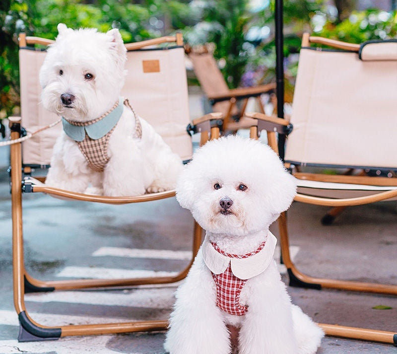 Fashion Small Vest Rope Dog Harness