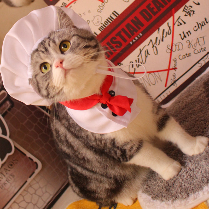 Hat Scarf Pet Changing Outfit
