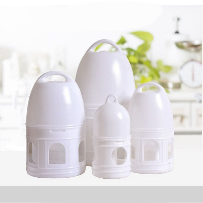 Pigeon drinking bottle