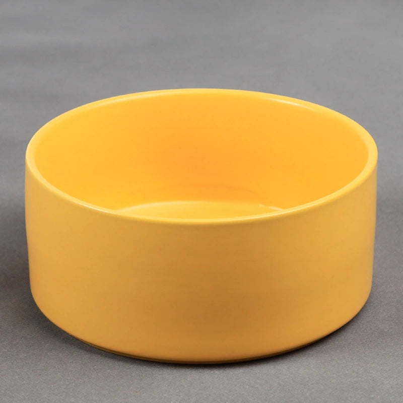 Cat and dog food bowl dog bowl