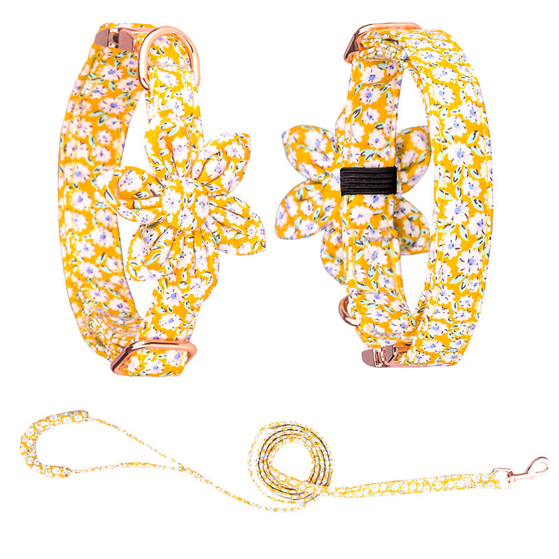 Custom Pet Collar And Leash Set