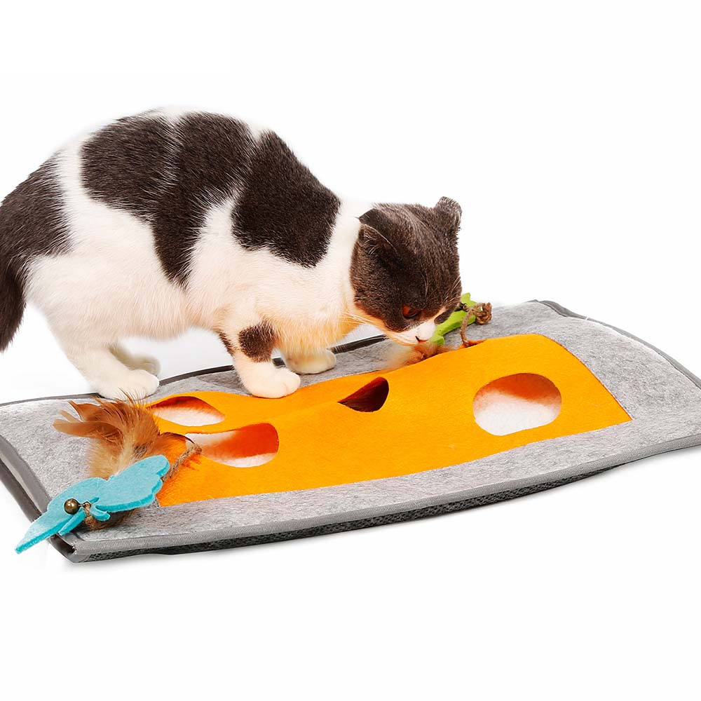 Cat scratching a blanket