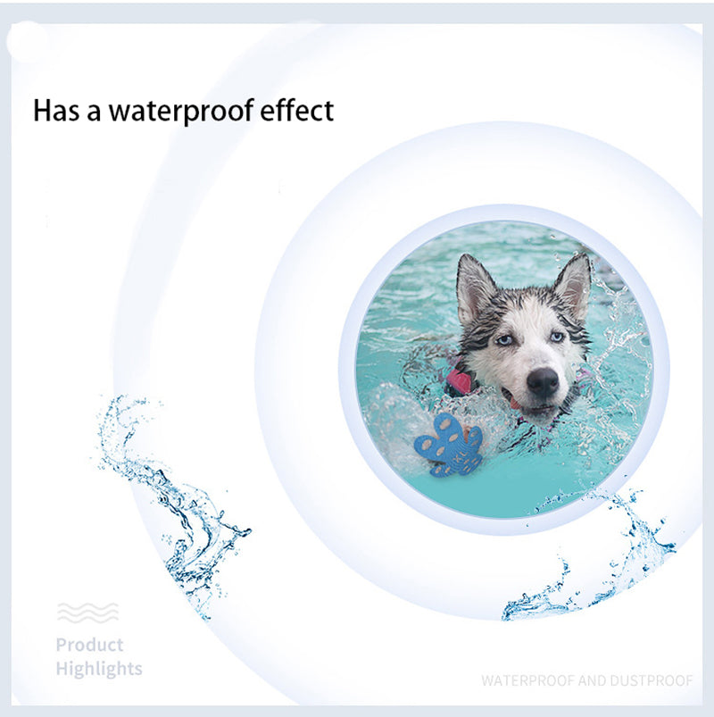 Pet invisible foot patch non-slip dog insole summer