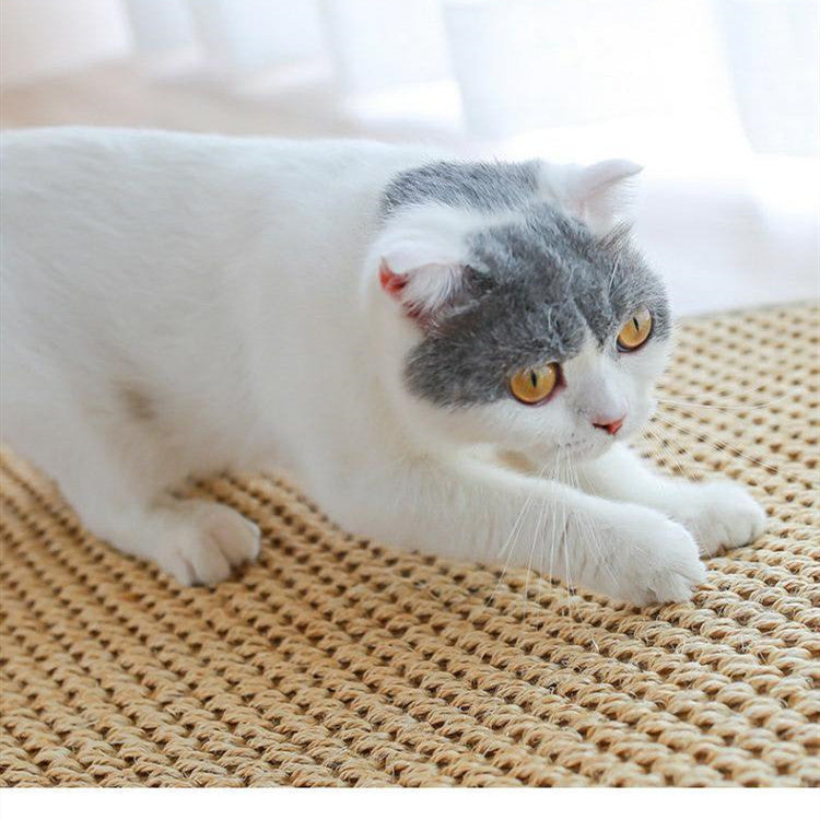 Large Nest Pad Wear-Resistant Scratch-Resistant Anti-Scratch Sofa To Protect Cat Toys