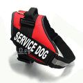 DogDogDogDogDogDogDogDog