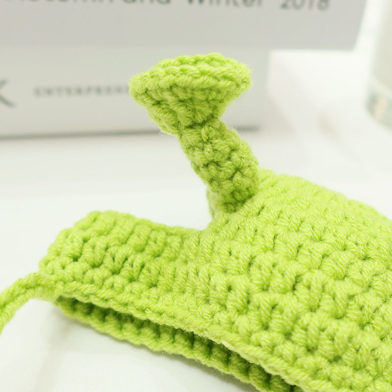 Spring And Summer Plankton Young Wool Knitted British Short Pet Hat