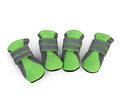 Dog walking shoes