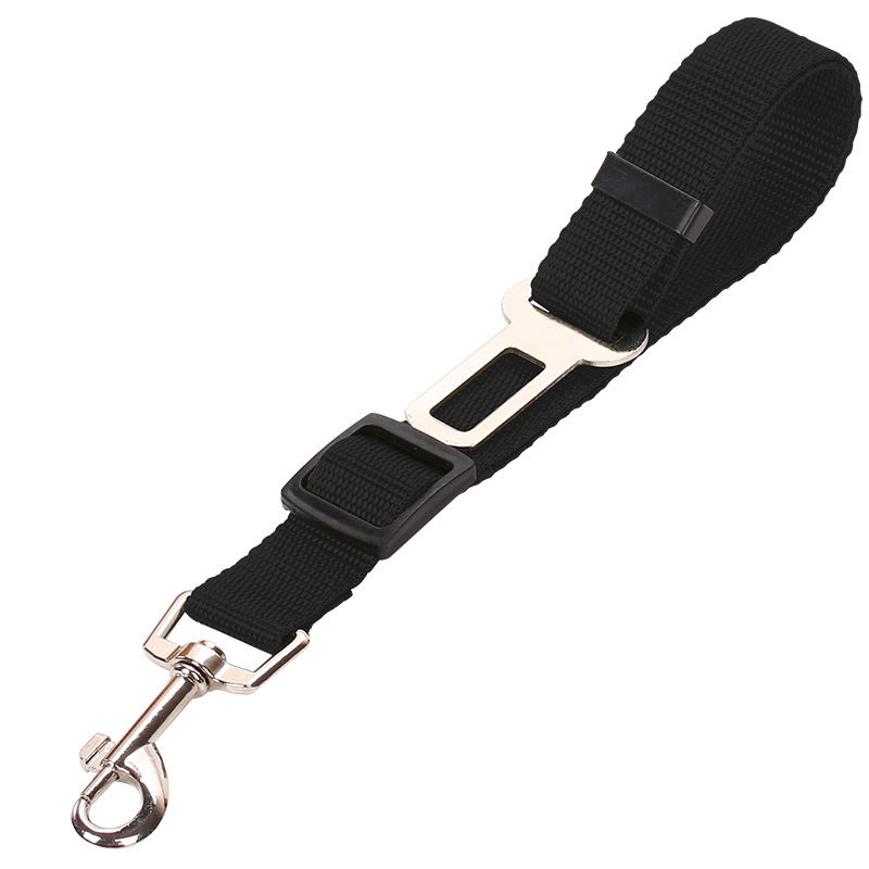 Seat Belts Dogs Car