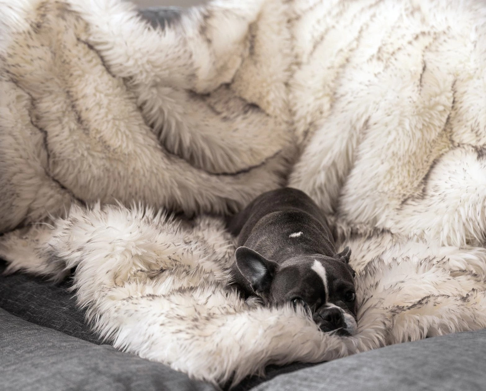 Fox Fur Waterproof Plush Dog House Plush Blanket Pet Nest