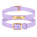 Collar Leash Medium Dog Teddy