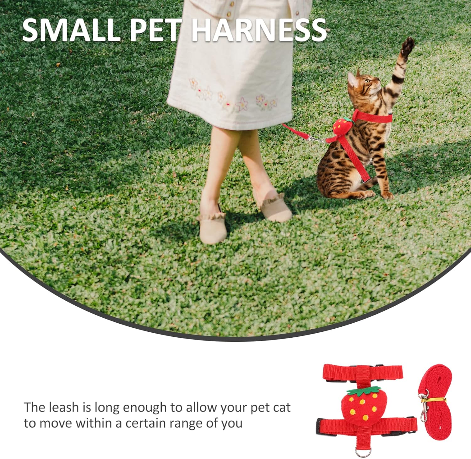 Small Pet Traction Rope And Harness - Keep Your Cat Dog Or Other Small Pet Safe And Secure