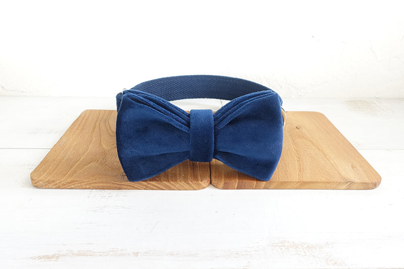 Bowknot Pet Collar Large, Medium And Small Pet Traction Collar Dog Leash