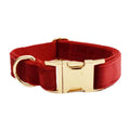 Dog Collar Pet Collar Traction