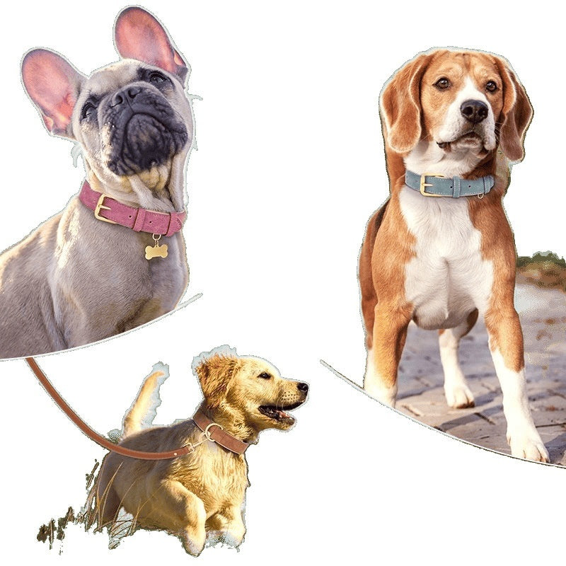 Creative And Versatile Double-layer Leather Pet Dog Collar