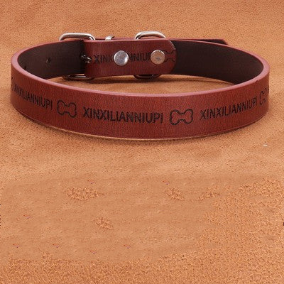 Collar Large And Medium Dog Lettering Anti-lost