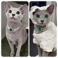 Cat Pet Jewelry Water Drop Pendant Rabbit Necklace