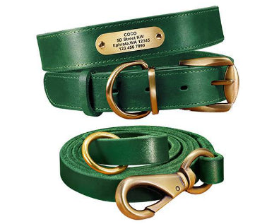 Personalized Dog Collars with Nameplate ID Tags for Medium Large Dogs
