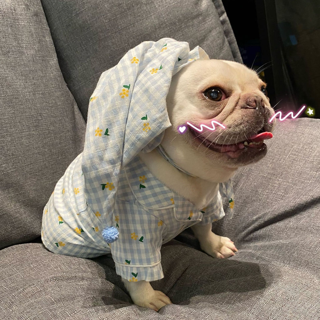 Clothes, Dogs Cats Favs Teddy Schnauzer