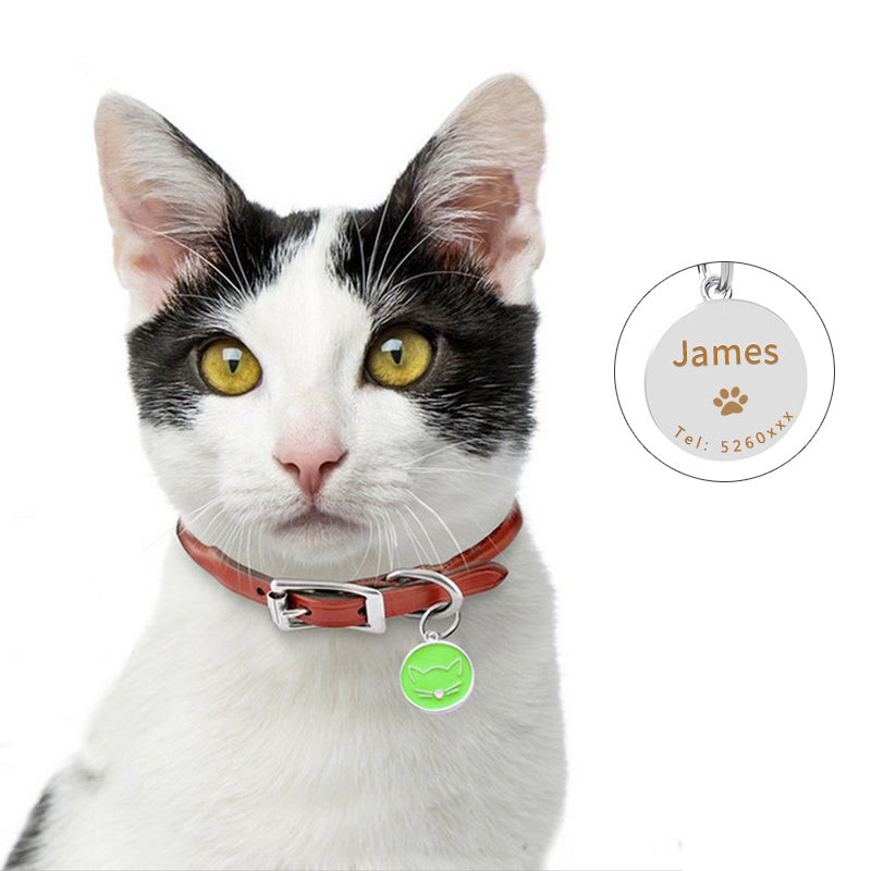 Pet collar pendant
