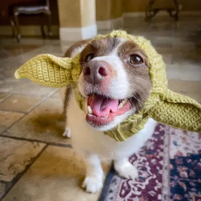 Pet Dog Dinosaur Warm Windproof Halloween Knitted Hat Head Cover