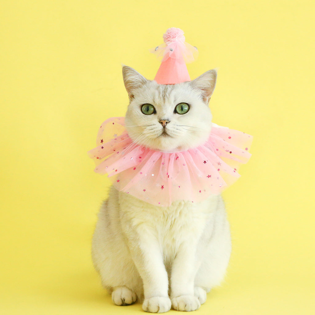Pet Sequin Lace Bib Rhinestone Gauze Skirt Felt Hat