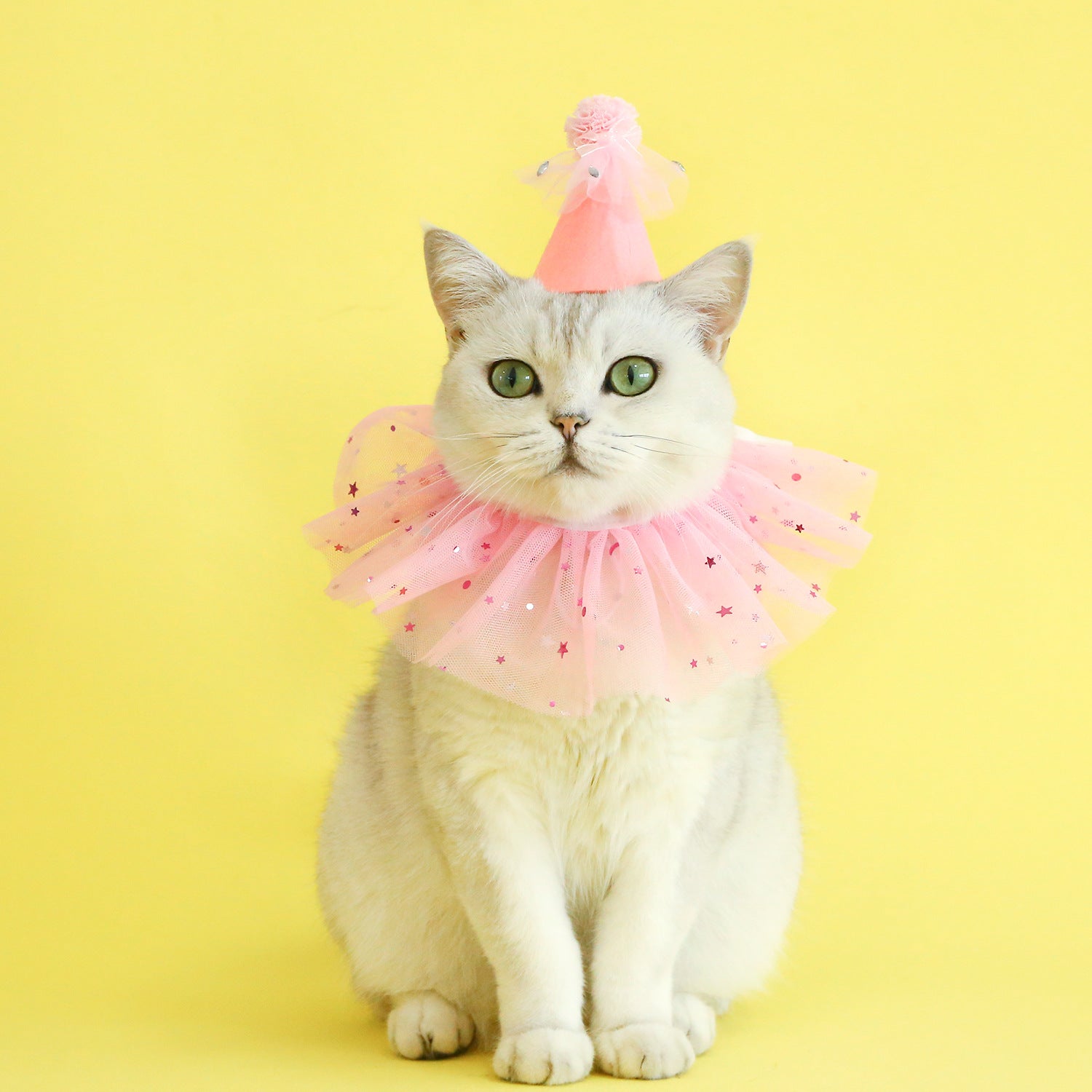 Pet Sequin Lace Bib Rhinestone Gauze Skirt Felt Hat