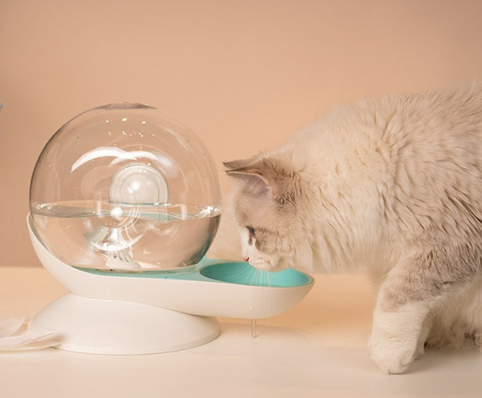 Cat drinking fountain filtering automatic drinking fountain