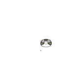 Cat name brand customized identity card bell