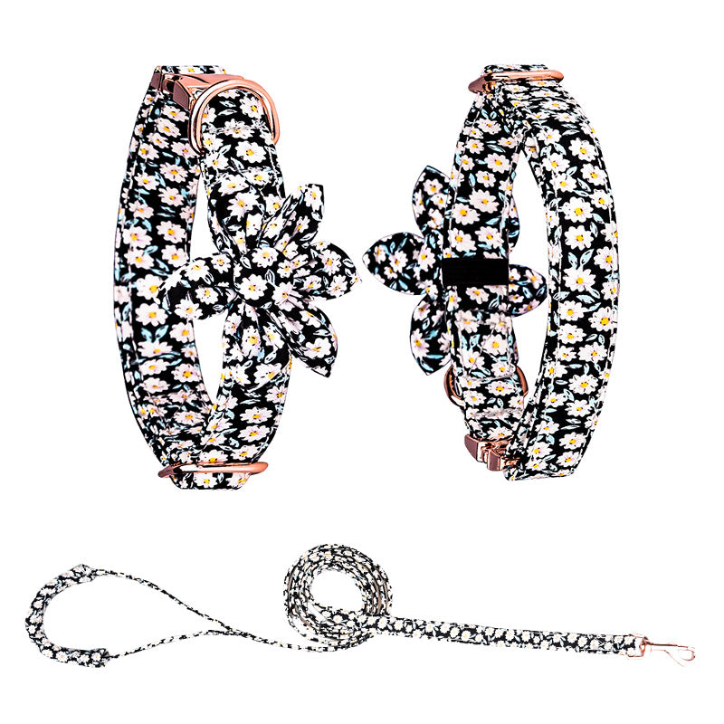 Custom Pet Collar And Leash Set