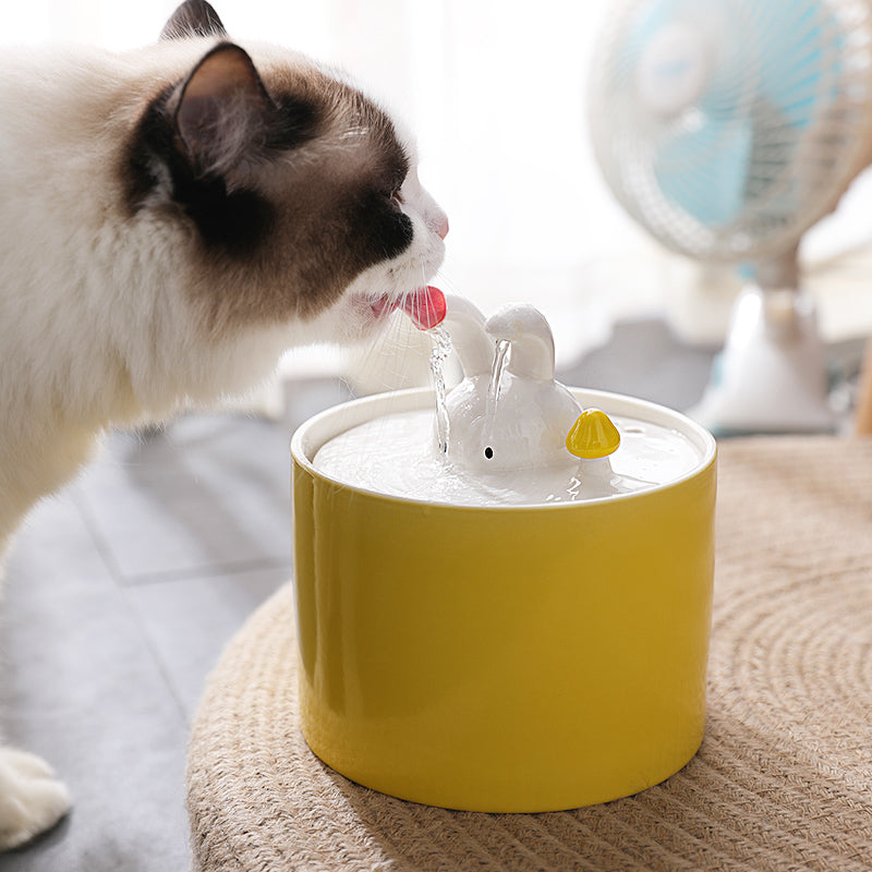 Pet Waterer Dog Water Basin