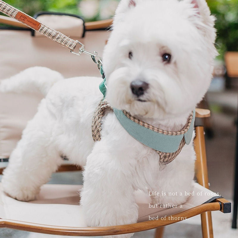 Fashion Small Vest Rope Dog Harness