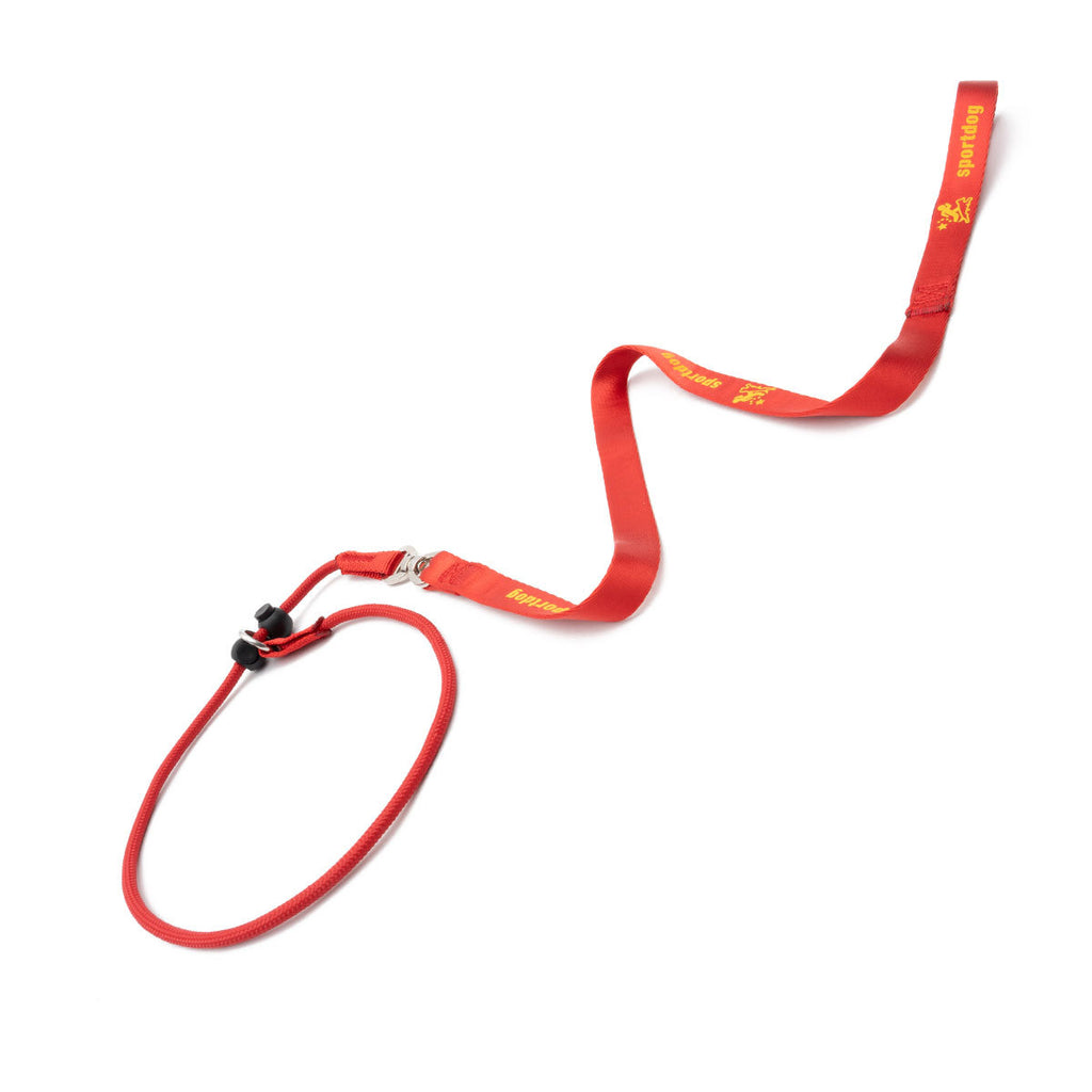 Dog Training P Rope Pet Hand Holding Rope