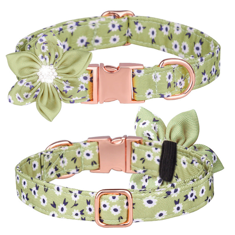 Custom Pet Collar And Leash Set