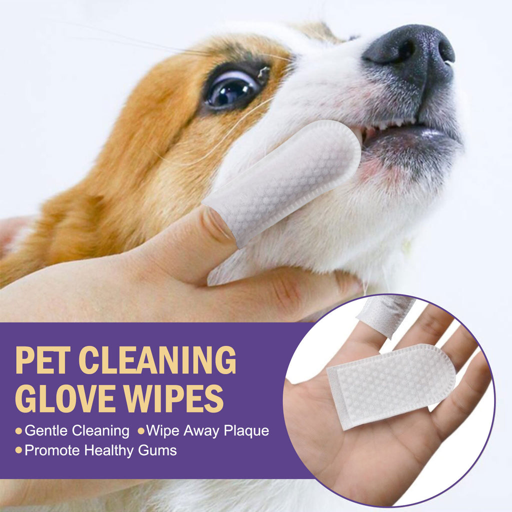 Pet Cleaning Gloves Wet Wipes Pet Gum Care Gentle Cleaning Teeth Remove Tartar Odor