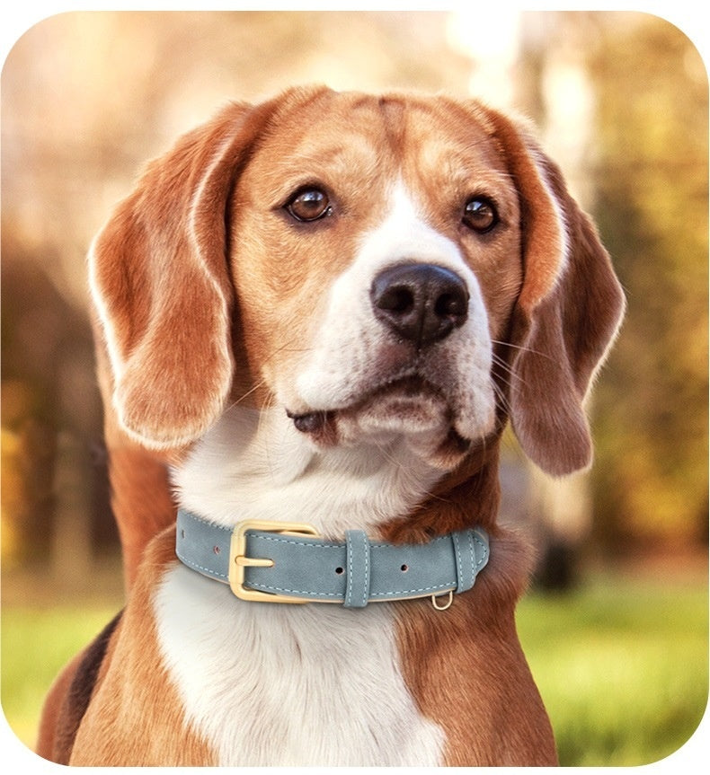 Creative And Versatile Double-layer Leather Pet Dog Collar