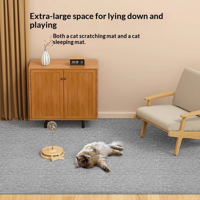 Sisal Pet-proof Rug For The Living Roomperfect For All Four Seasons