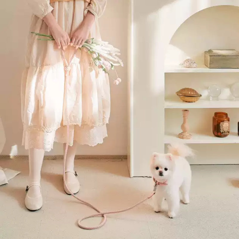 Dog Collar Leather Hand Holding Rope Dog Leash Collar Pet Small And Medium Size