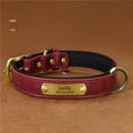 Dog Collar Engraved With Lettering To Prevent Loss Of Neck Collar