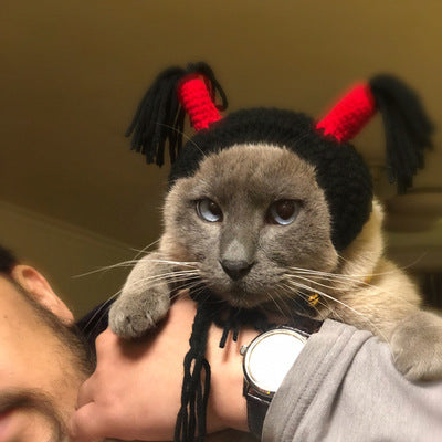 Creative Pet Funny Halloween Hood Hat